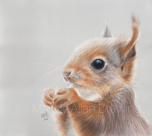 "Little Red- Woodland Treasure"- Squirrel Print
