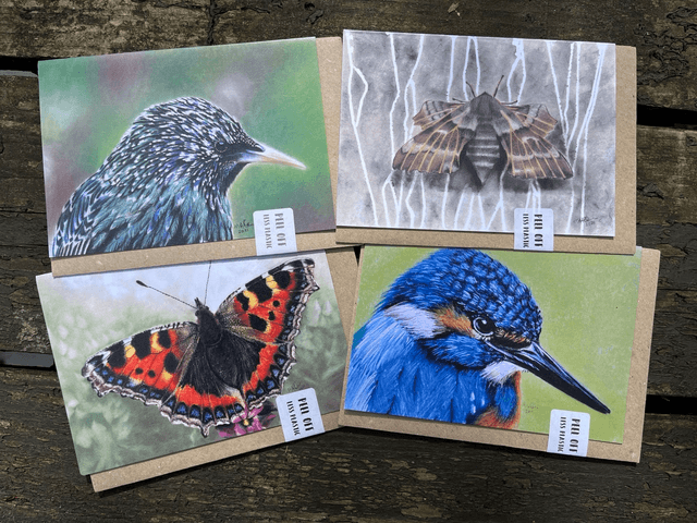 Animal Art Greetings Card Sets- A6