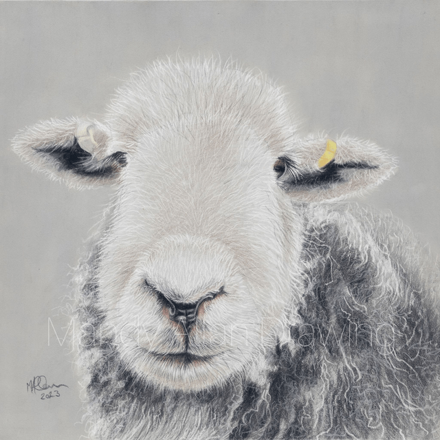 "Seth at Cold Fell" Original Drawing