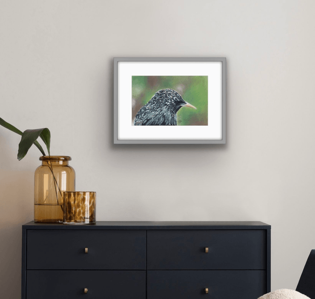"Hidden Rainbow- European Starling"