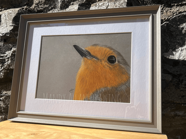 "A Friendly Face" Original Robin Drawing 