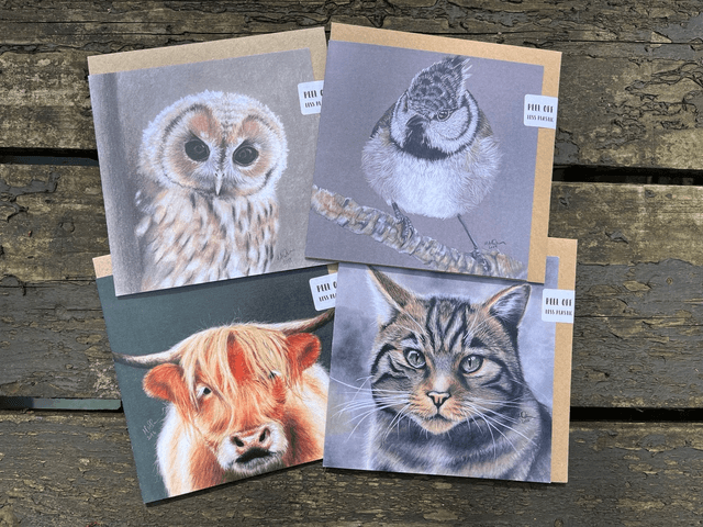 Animal Art Greetings Card Sets- Square