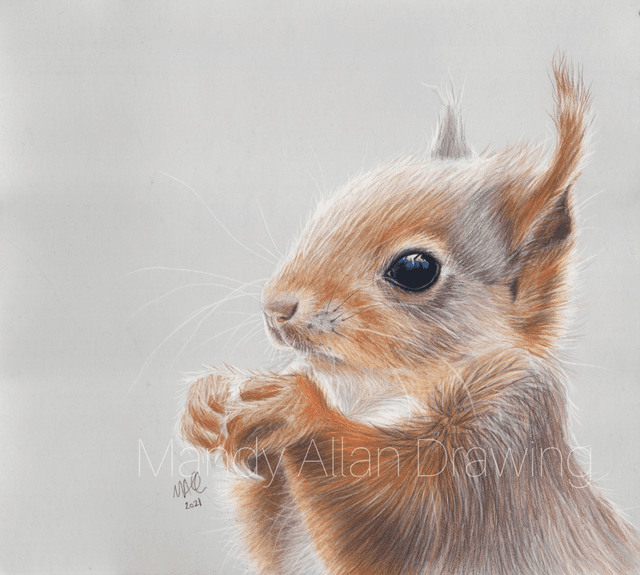 &quot;Little Red- Woodland Treasure&quot;- Squirrel Print