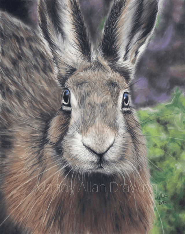 &quot;Hare at Orrest Head&quot; Limited Edition Art Print