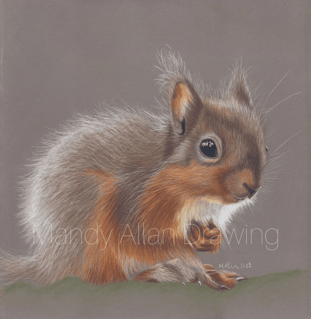 &quot;Little Red at Forest How&quot; Squirrel Limited Edition Print